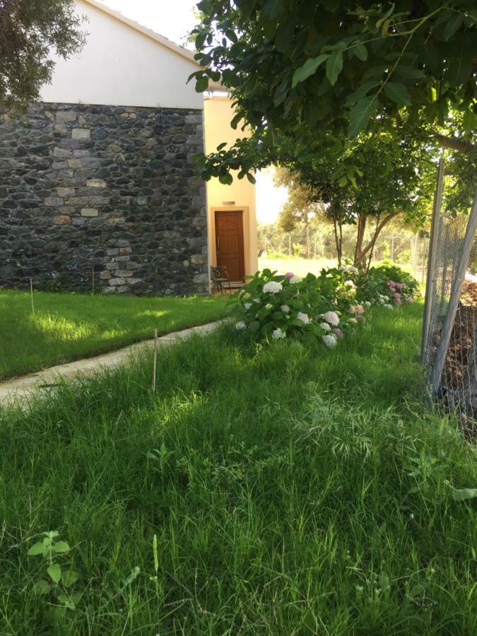 Samothraki Suites Kalisti Xiropotamos エクステリア 写真